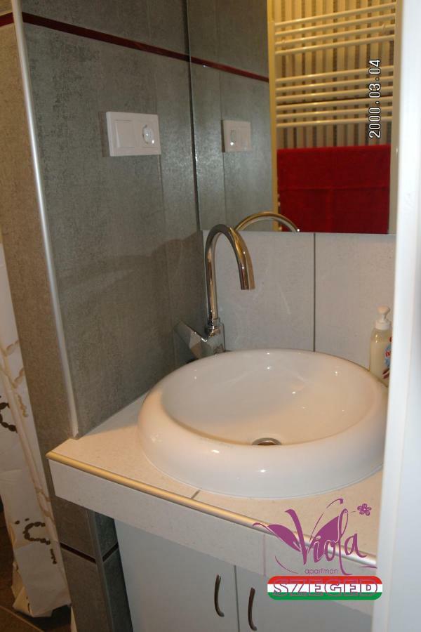 Viola Apartman with infra sauna Apartment Szeged Bagian luar foto