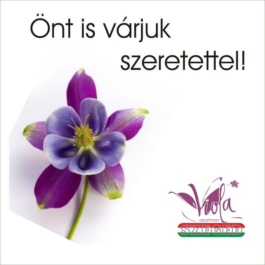 Viola Apartman with infra sauna Apartment Szeged Bagian luar foto
